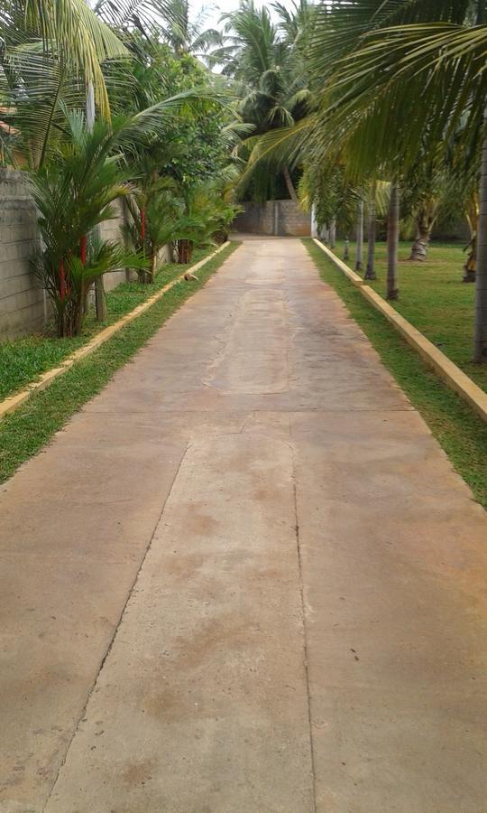 Grand Hilton Hotel Negombo Eksteriør billede